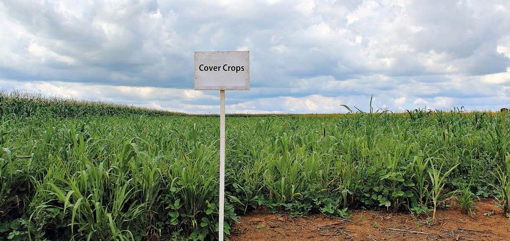 Cover crop with a sign
