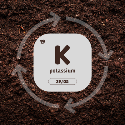 Image of potassium cycle