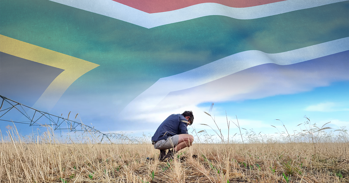Man crouching in a field with crops